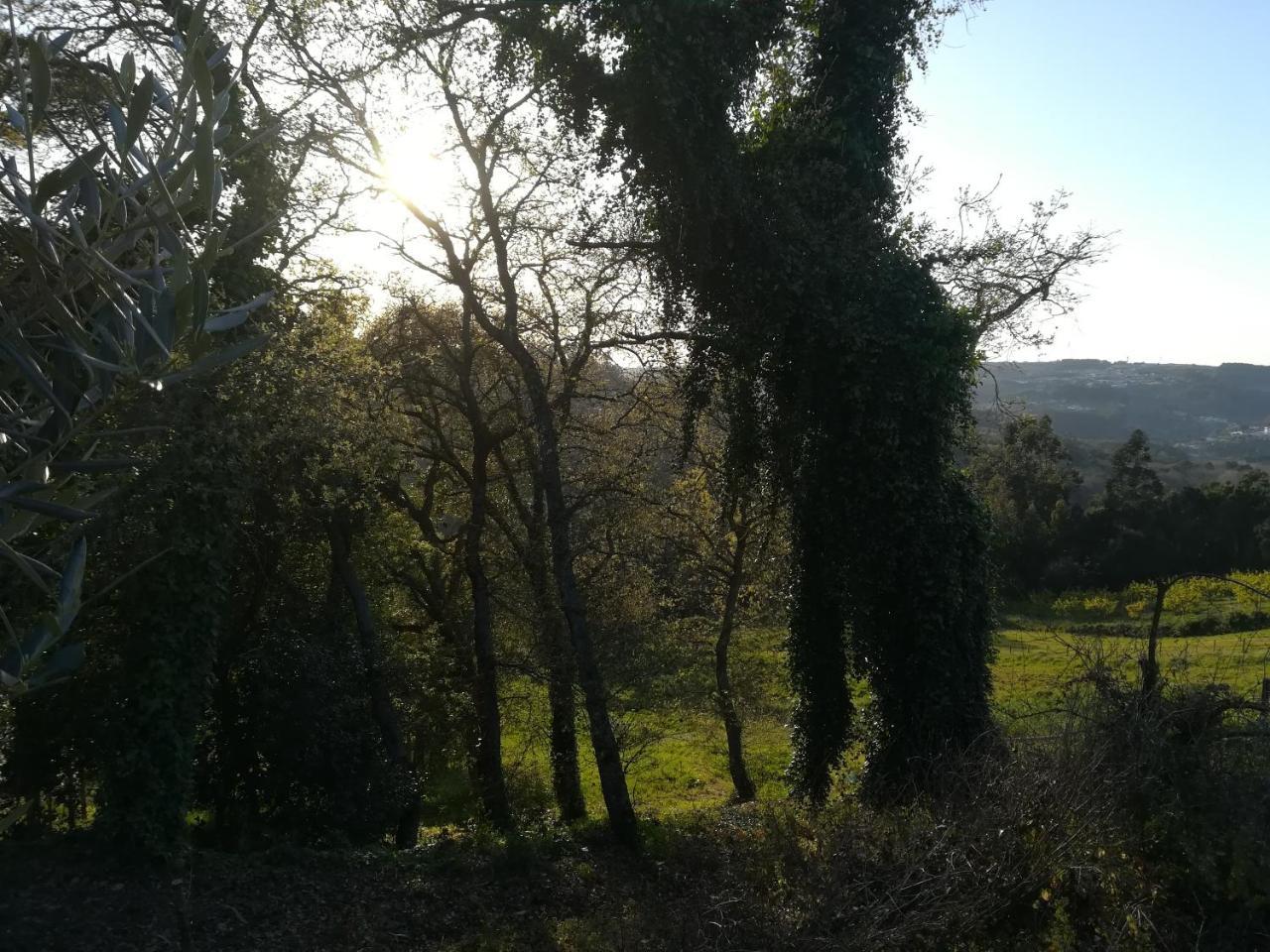 Quinta Vale Real Villa Alcobaca Exterior photo